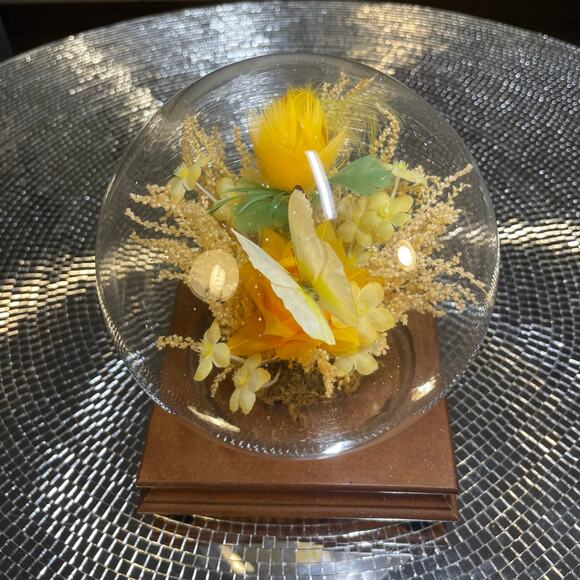 vintage taxidermy butterfly in globe yellow MCM - Picture 10 of 14